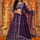Designer Lehenga Choli – Rich Wine Elegance-DVD-5017 🍷💃🍷