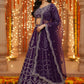 Designer Lehenga Choli – Rich Wine Elegance-DVD-5017 🍷💃🍷