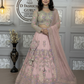 Light Pink Semi-Stitched Butterfly Net Lehenga with Coding Sequins Work | Elegant Wedding & Party Wear