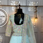 Light Blue Butterfly Net Lehenga with Can-Can & Sequins Work – Wedding & Festive Wear