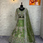 ✨ Premium Parrot Green Butterfly Net Lehenga with Coding Sequins Embroidery