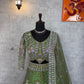 ✨ Premium Parrot Green Butterfly Net Lehenga with Coding Sequins Embroidery